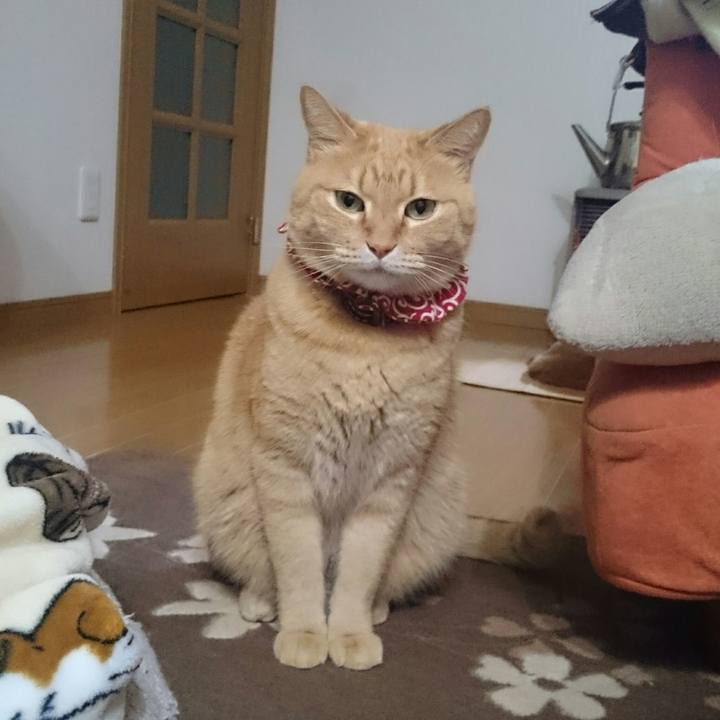 A4def7b3 9be9 42e0 801b c724f7313994