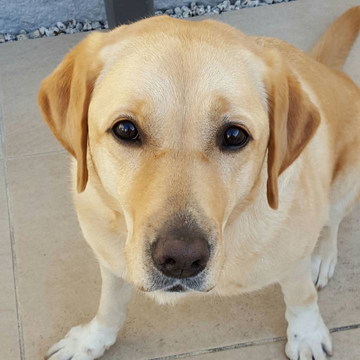 A4df018b f757 4147 aa9c 3e508f4188b8