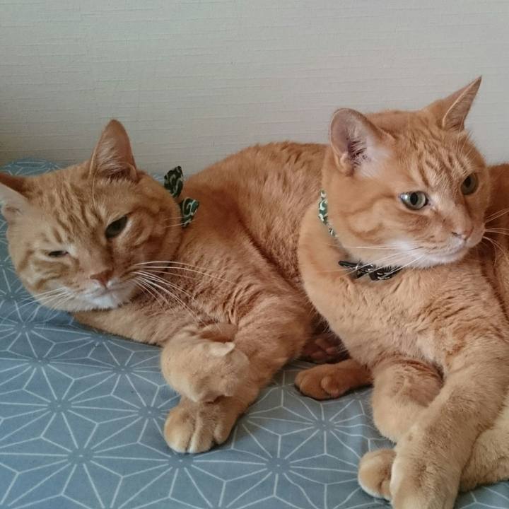 A4df2146 7f0e 4380 9cdd 7c5d7a2202dd