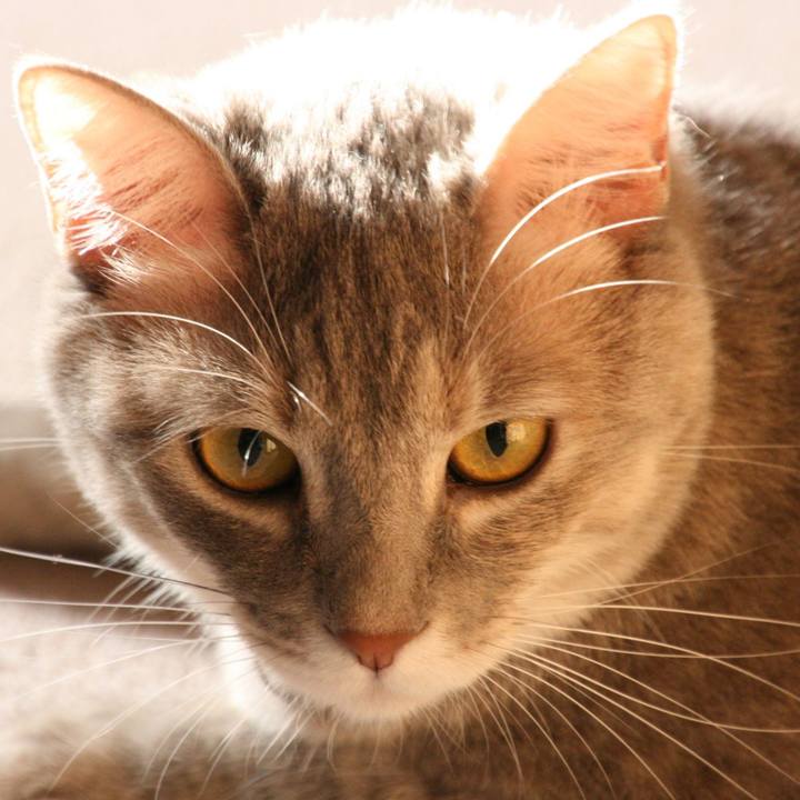 A4df271f 69f4 4722 a1c3 a91e8e56679e