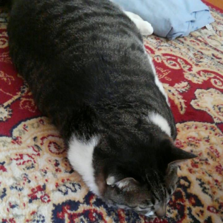 A4df2c4e 591b 4fd2 9acf 73cc437c0e03