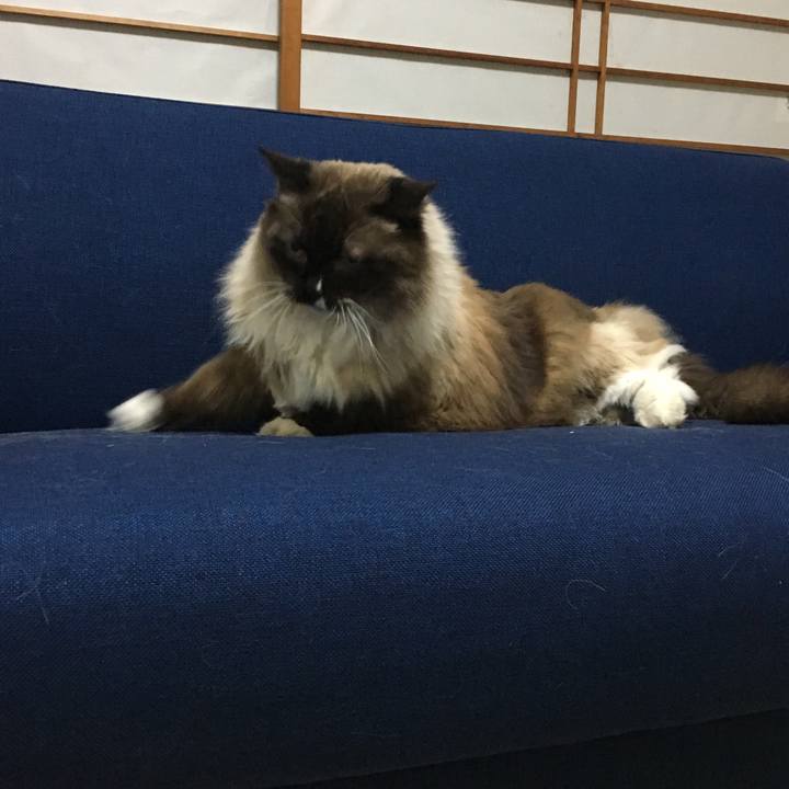 A4df4d7d 5d88 46fa 9f6e 1b9ced050d2b