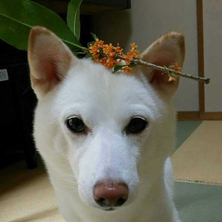 A4e2136c 6d91 4667 befd 642b6d0aab2c