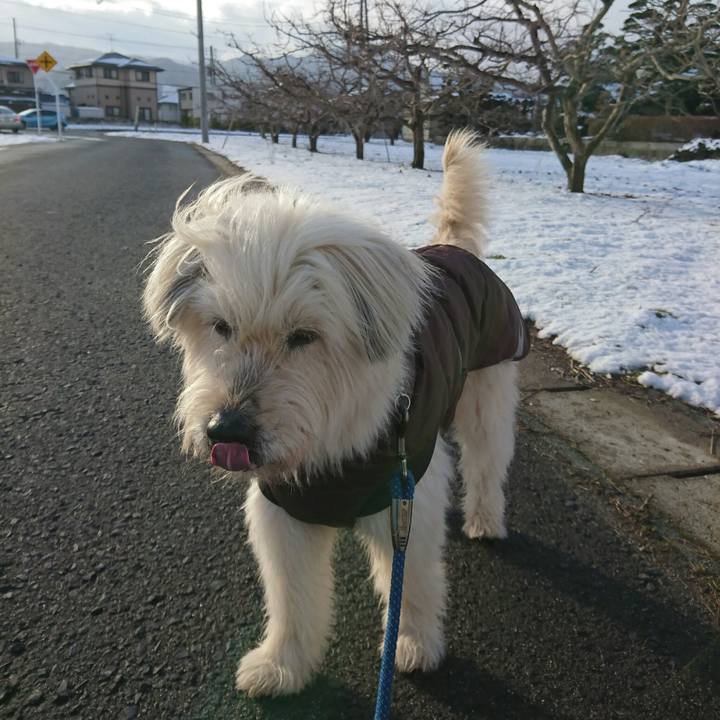 A4e24ddb 8a0b 4ed1 ae05 4ea8162b1bd5