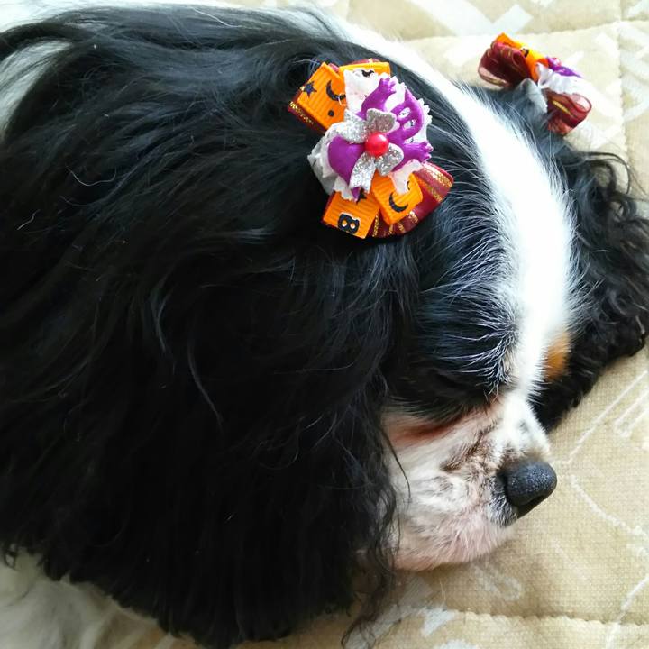 A4e2ca3e d307 47ae b6af 045fbd431c8f