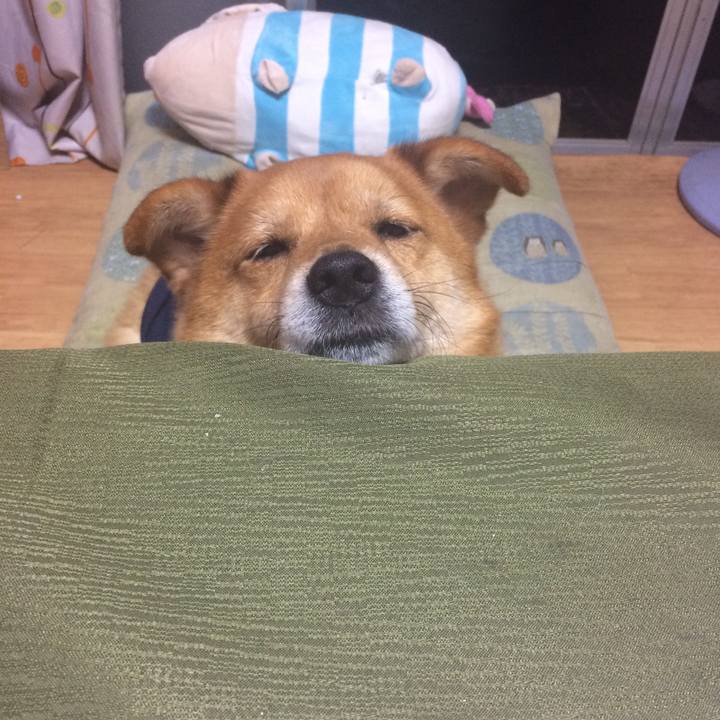 A4e356c0 1066 462b abdb 96f91e10544e