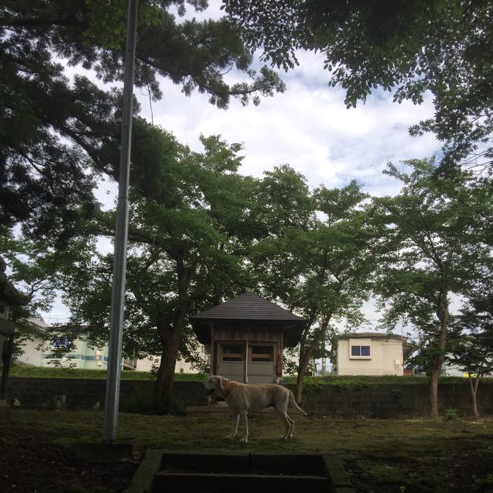 A4e444e2 2578 40f4 b61c 408685000552