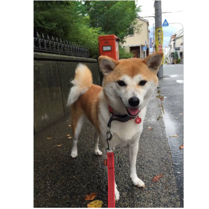 A4e447b7 0b34 4cae a998 c5b9b52ab97c