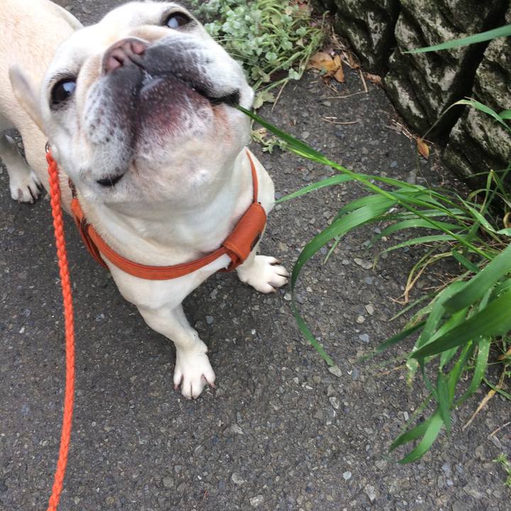 A4e56ad1 17d9 47a0 8d9a 676e9ccb936f