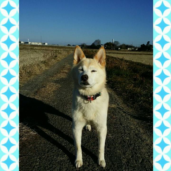 A4e680d9 396f 44ed 9378 197fef58241c