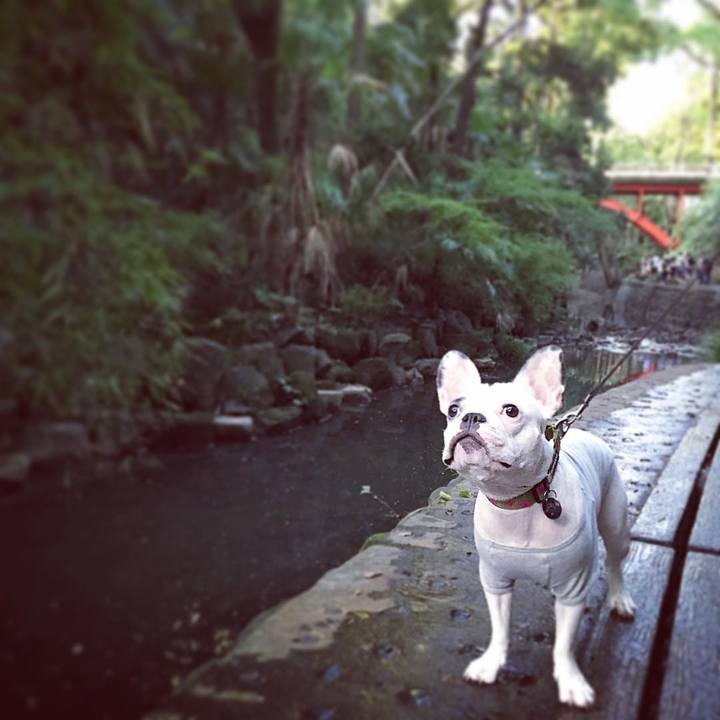 A4e69dbb 43a3 4df0 895d e24fad3f582f