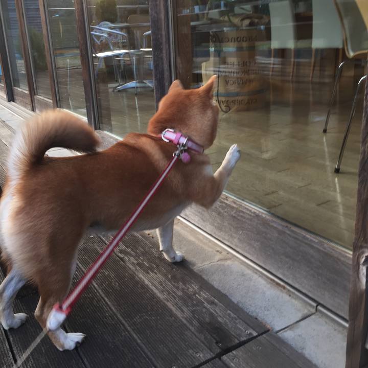 A4e6df1d 2574 449d ba0e e1dcc2b4dd04