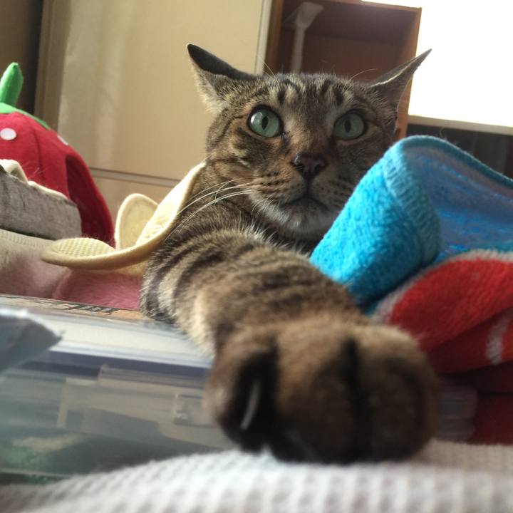 A4e7d8e4 715b 4f74 9e31 aabb56184131