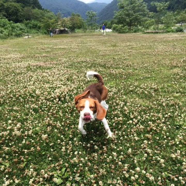 A4e81d04 eaa1 43c3 a3c3 634fc126171b