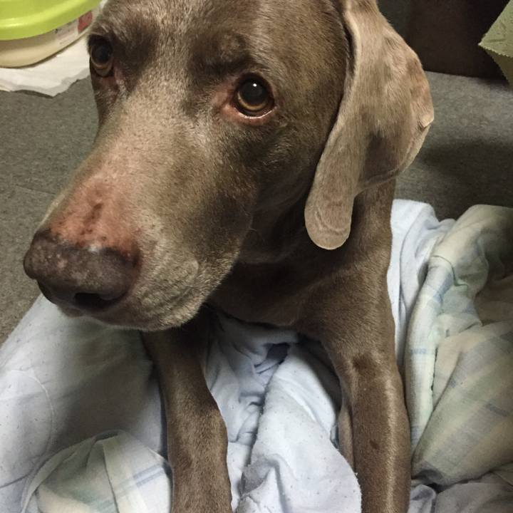 A4e8b4ba 1724 49e6 ac43 3cc80194e0fc