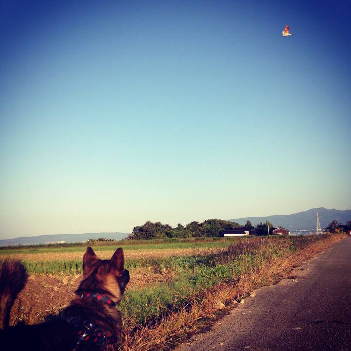 A4e924e5 34af 4188 b0af 10071a167f74