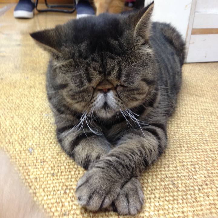 A4e97ba4 4fd9 44c2 9c14 1f941fb1b310