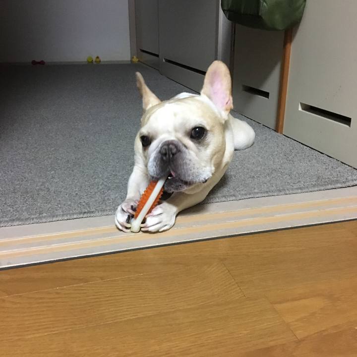 A4e9bfa1 d7ea 44ab 98a5 7ada97ff406d