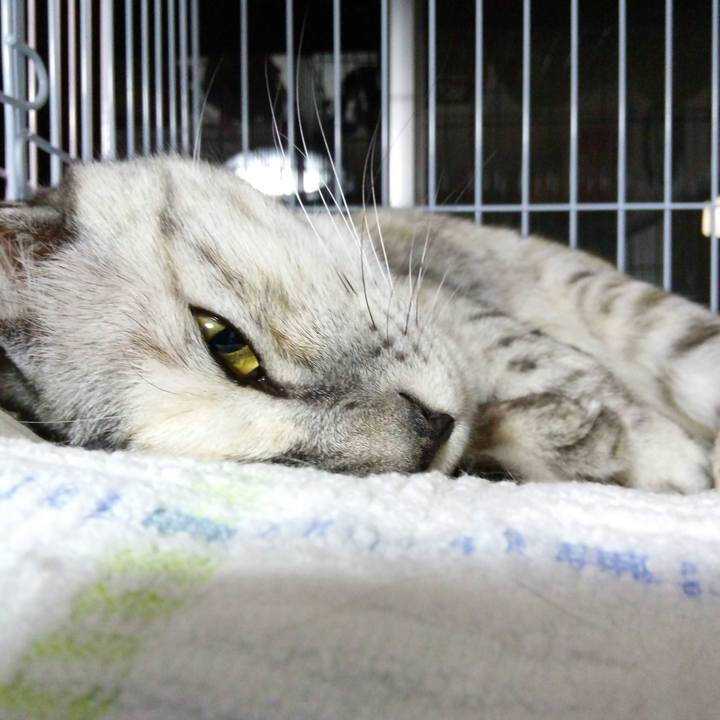 A4eb6217 b6d7 4e7c aa62 e1c0bc6a5950