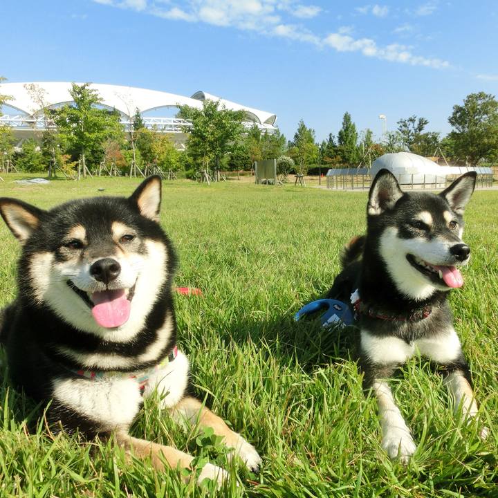 A4eb6eab e531 49b3 a1c3 f59b4a1ba32e