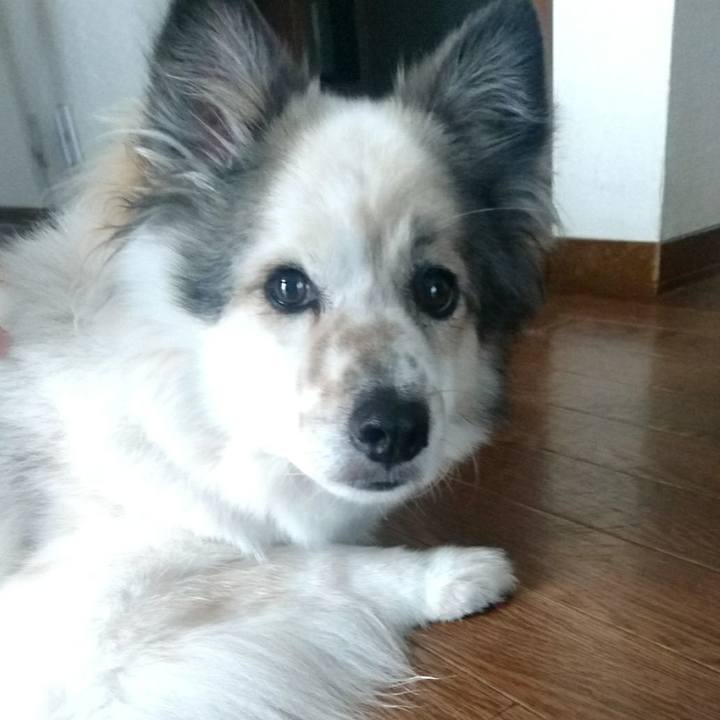 A4ebd4d5 01ac 4db7 b22a 2261fdc8d6de