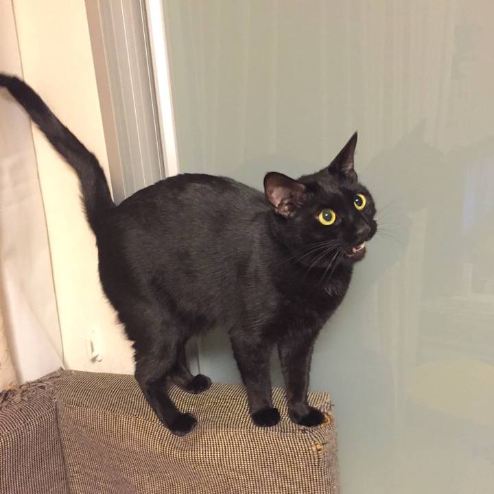 A4ecb20f e120 4c80 ab55 843df26174cb