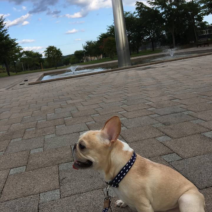 A4ecfd90 4594 40a8 a5e5 731fc90a9c70