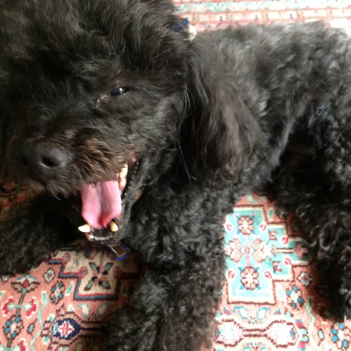 A4ed7a3f 8f23 45a5 b7a6 46b8900994ec