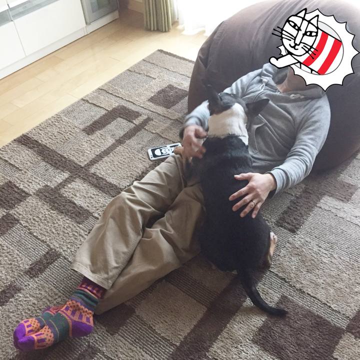 A4eed4c7 f04d 47d7 912a 03906d511201