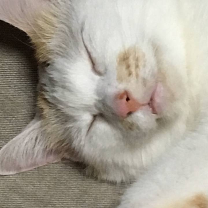 A4ef6a7d 56c9 4e1f ae86 90d7f01dd172