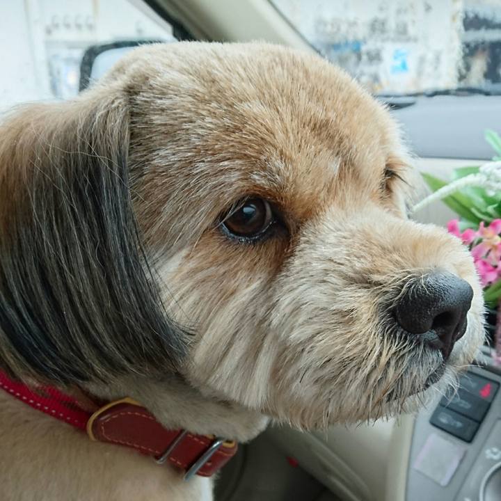 A4ef9732 8485 4839 a909 1996c5ec4985