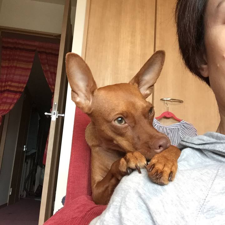 A4f05f07 bf3d 443d 8af7 5e5e313e01a0