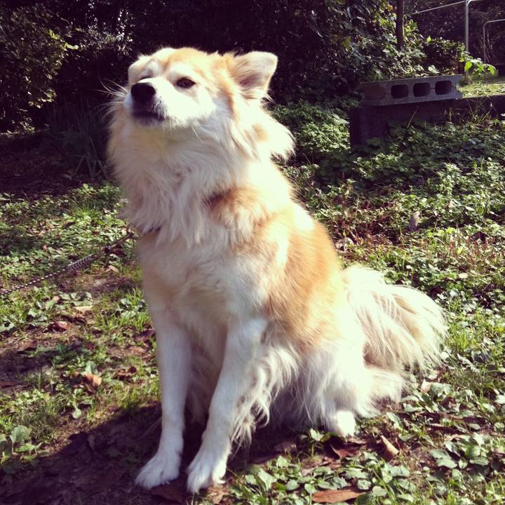 A4f0ca91 9ed4 47a8 aa69 56e265c399fa