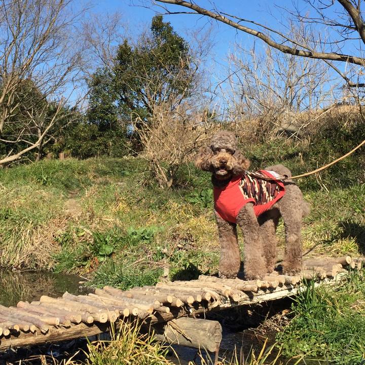 A4f0caa7 612e 4b52 b5e4 288763db35c1