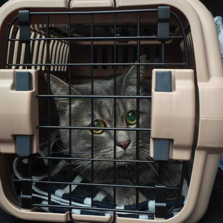 A4f128c1 4e18 4dc0 9330 c530e4d7ff55