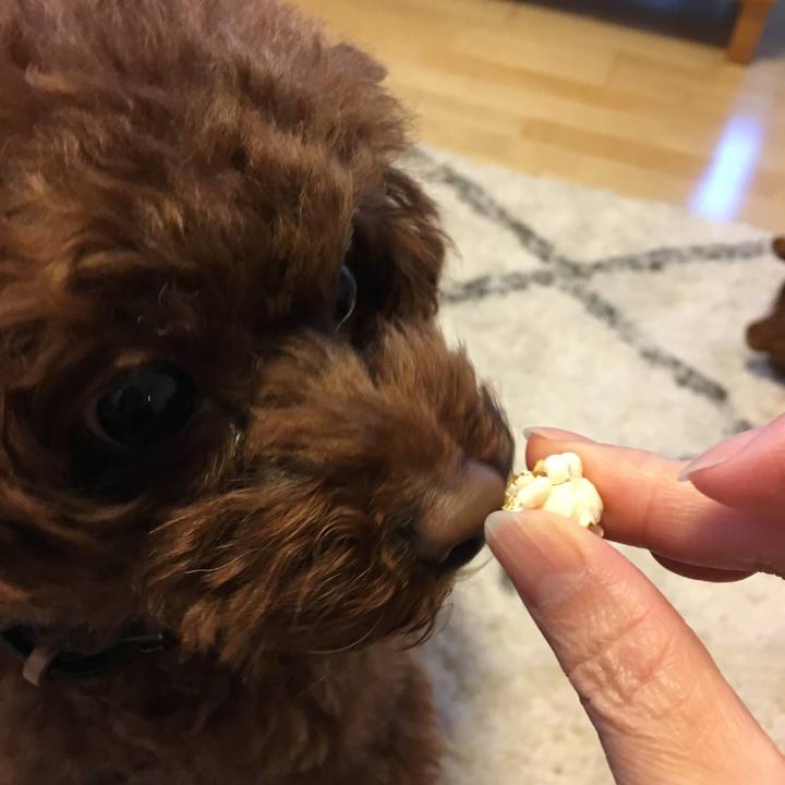 A4f169ca b607 4d2f aaa3 95947b9335f0