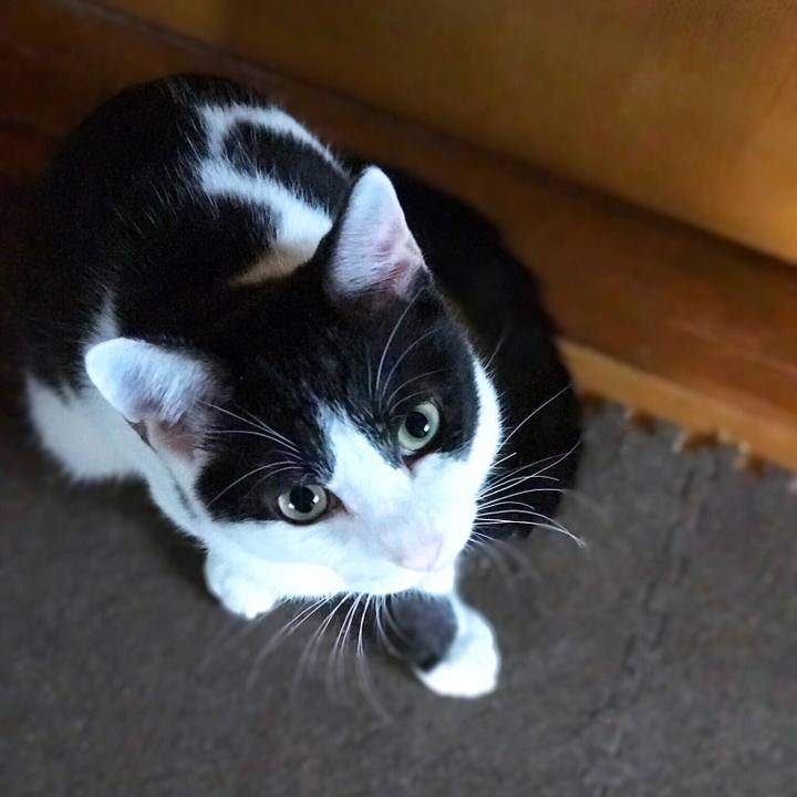 A4f1e792 551f 48a7 83c5 a91548eb3028