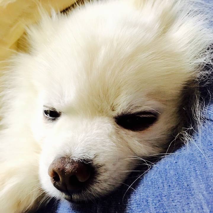 A4f2246d 710c 466f 9e12 714f3b511af6