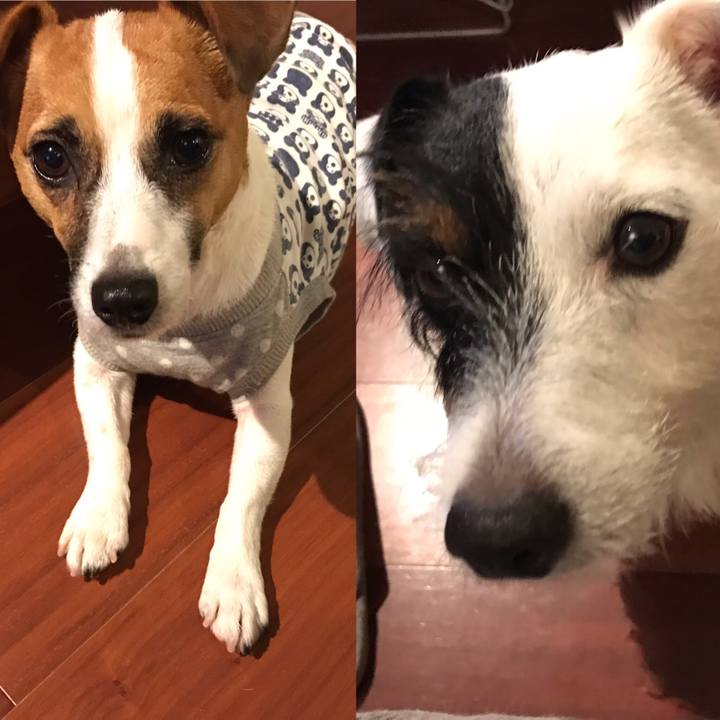 A4f22d14 7c6d 4a0c afe5 1b15772ea67a