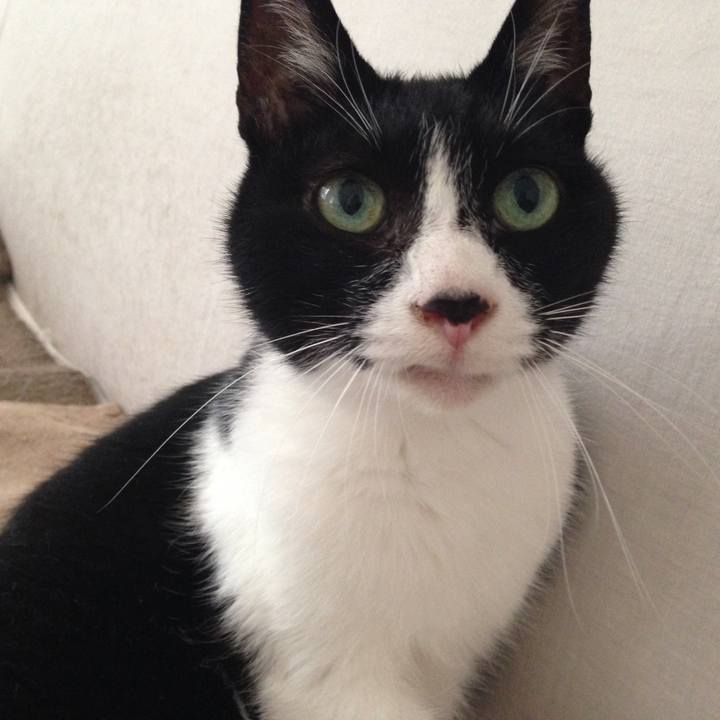 A4f283e6 b231 46ae 9ff4 9d2d93a04404