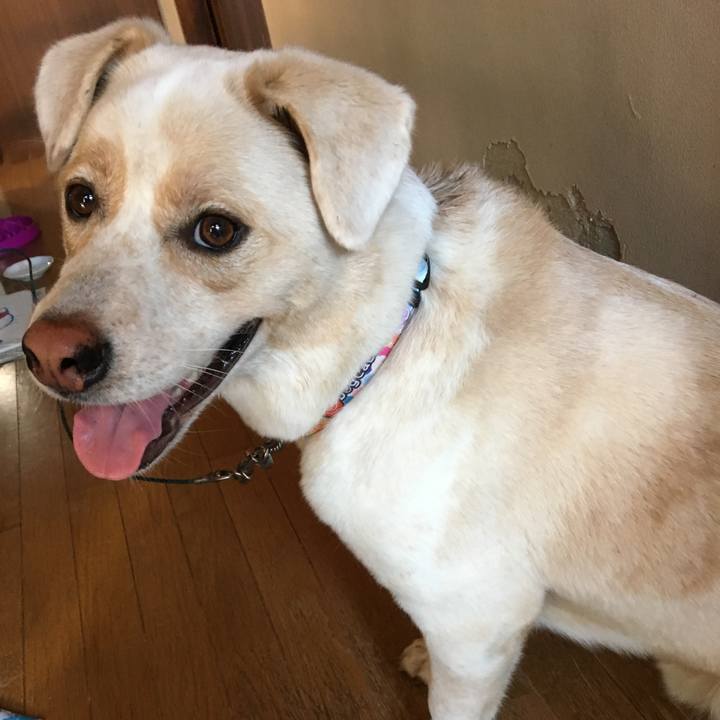 A4f2864b 8e7e 4d69 afbe 13d3bf180212