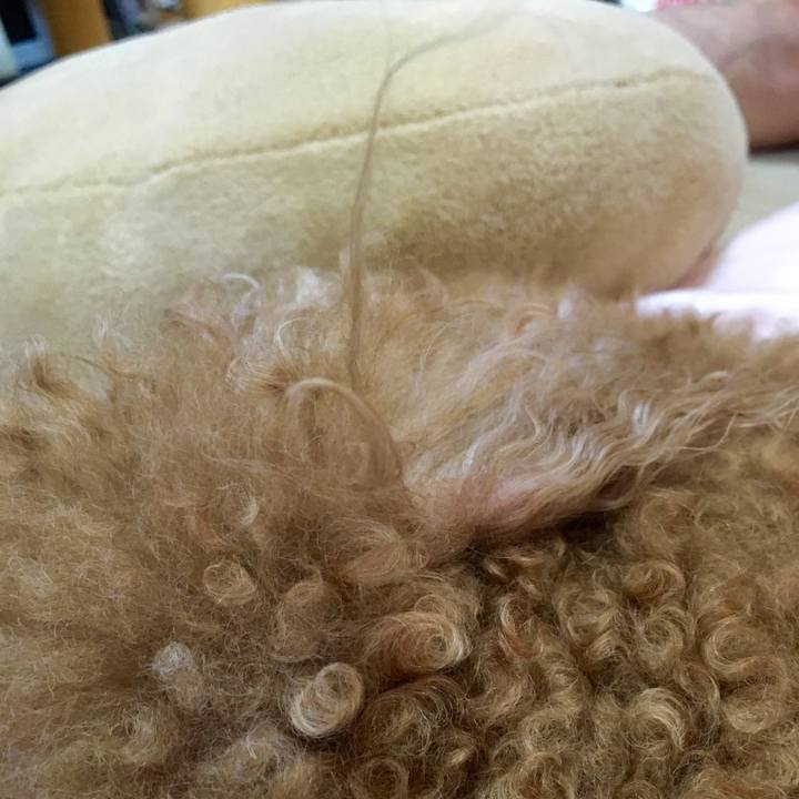 A4f3010c f56e 4f1b b6bc fd9c2f4c7d71