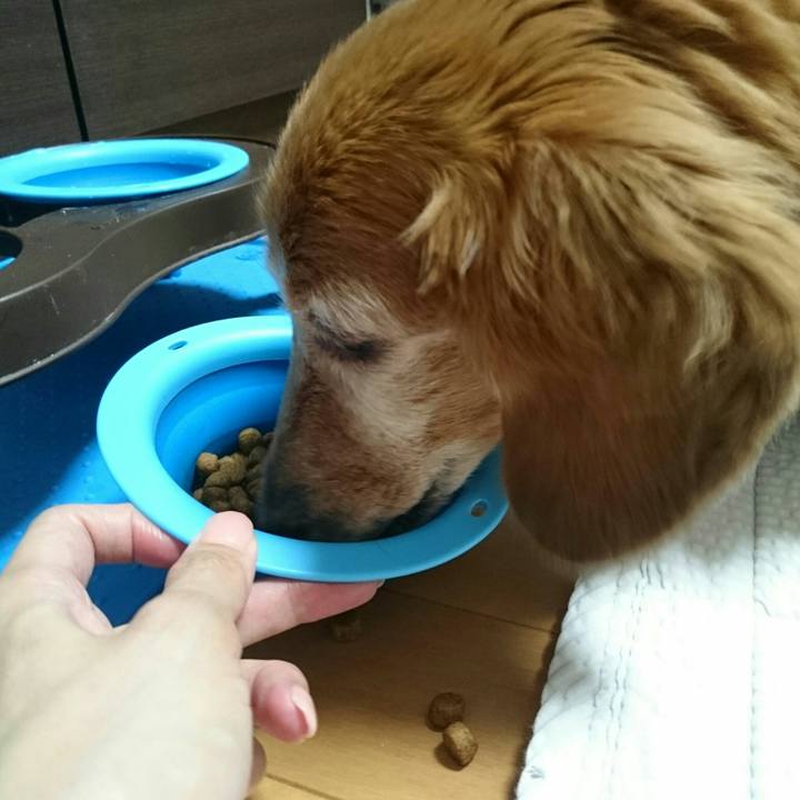 A4f43f0c d277 4c8f b00a e0c055ec1da3