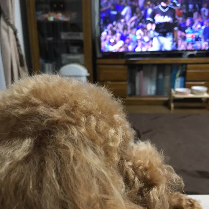 A4f4b124 6ff3 4255 9141 6bead8a5b609