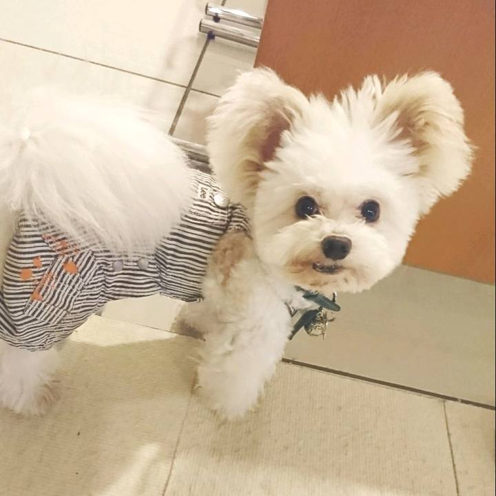 A4f4d3c5 34c3 4a18 87c4 219f2fda8001