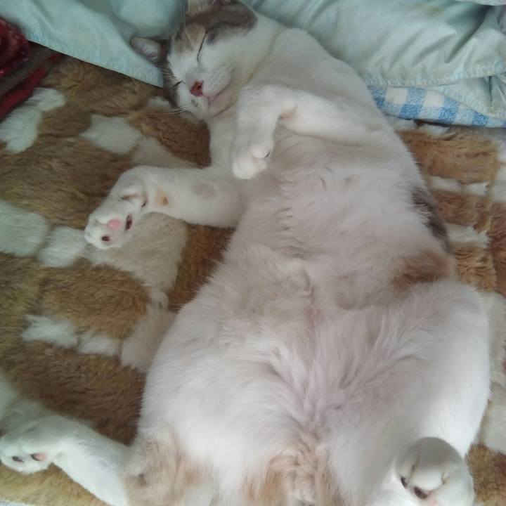 A4f4e81f b8df 4cd5 baa2 eef48c29fbc1