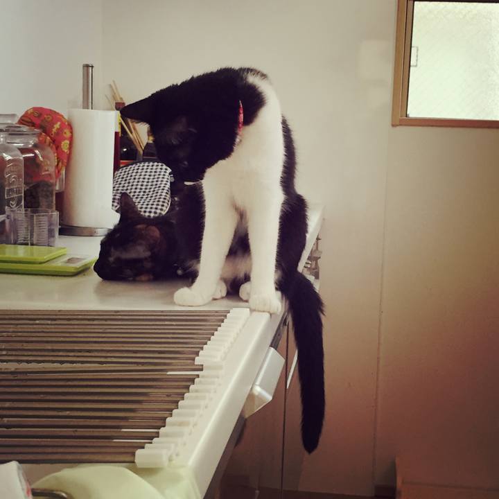 A4f58daa 86b1 44d7 97a0 90e691785e6a