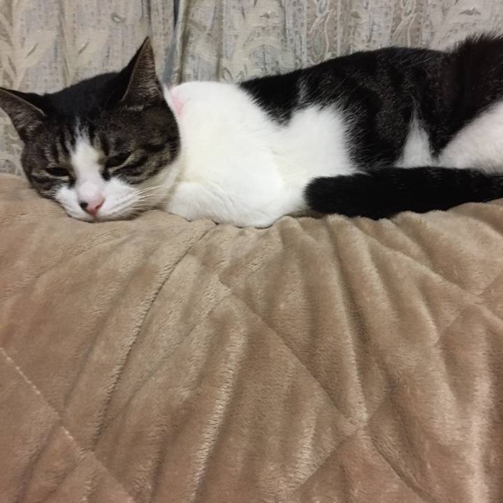 A4f680eb b56b 4b23 94bc cf1d643b332f