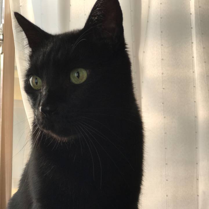 A4f810d6 2871 41c8 b42b 1b6658576807