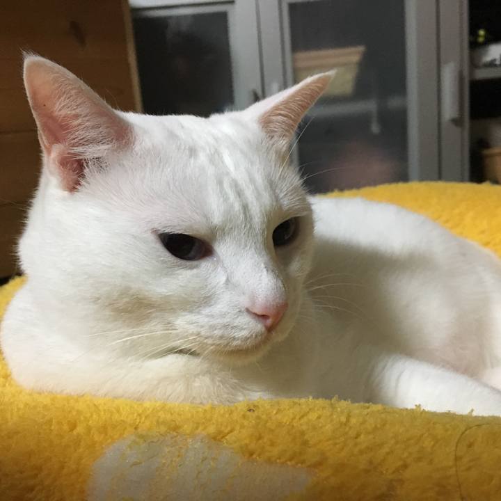 A4f8ddf2 c33a 4280 92ac 03aa27451709